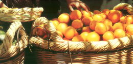 fruit