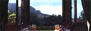 Combe House view