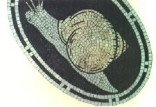 pic of snail